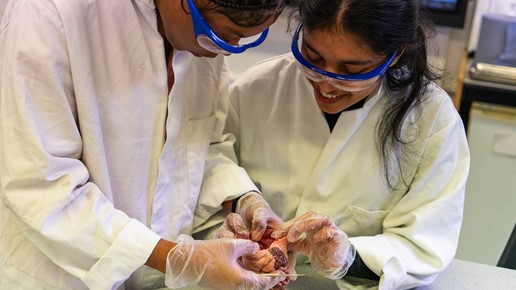 Science, Maths And Engineering Main